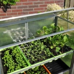 Royal Well Patiokas Grow Station 15 Royal Well Patiokas Grow Station -Exporteren Tuin Genoegen Winkel 8718226338358 4 Aangepast