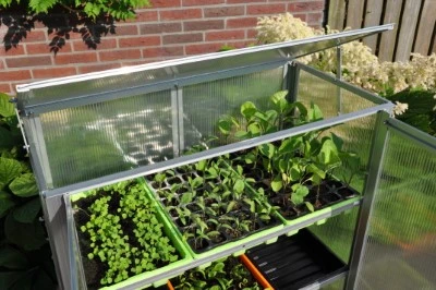 Royal Well Patiokas Grow Station 6 Royal Well Patiokas Grow Station - Afbeelding 4