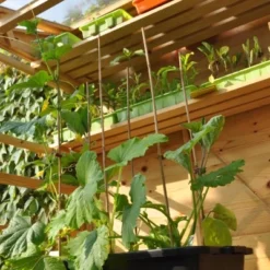 Royal Well Kweekbak / Container 40 L - 60 X 40 X 18 Cm Zwart -Exporteren Tuin Genoegen Winkel 8718226338365 3 Aangepast