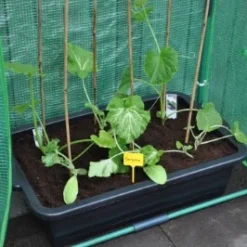 Royal Well Kweekbak / Container 40 L - 60 X 40 X 18 Cm Zwart -Exporteren Tuin Genoegen Winkel 8718226338365 4 Aangepast