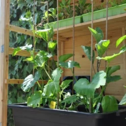 Royal Well Kweekbak / Container 40 L - 60 X 40 X 18 Cm Zwart -Exporteren Tuin Genoegen Winkel 8718226338365 5 Aangepast