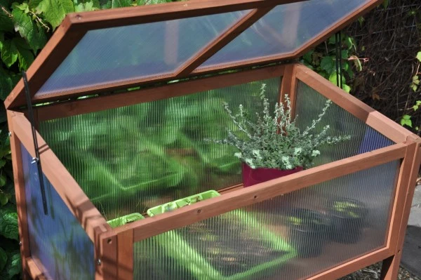 Royal Well Broeikas Red Leaf 11 Royal Well Broeikas Red Leaf - Afbeelding 9