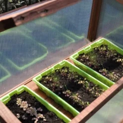 Royal Well Broeikas Red Leaf 24 Royal Well Broeikas Red Leaf -Exporteren Tuin Genoegen Winkel 8718226339133 11 Aangepast