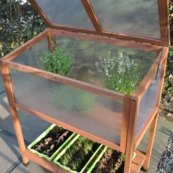 Royal Well Broeikas Red Leaf 17 Royal Well Broeikas Red Leaf -Exporteren Tuin Genoegen Winkel 8718226339133 4 Aangepast