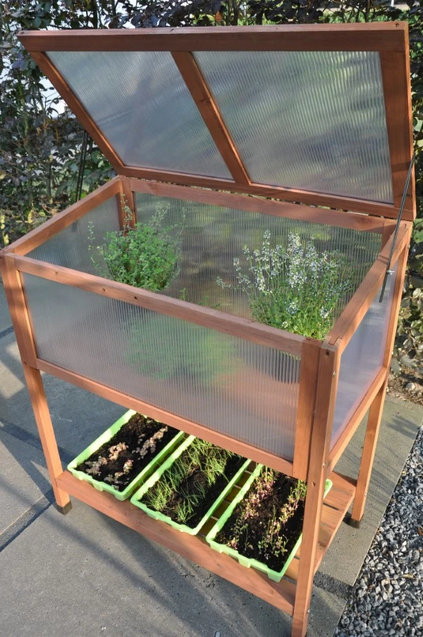 Royal Well Broeikas Red Leaf 5 Royal Well Broeikas Red Leaf - Afbeelding 3