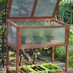 Royal Well Broeikas Red Leaf 20 Royal Well Broeikas Red Leaf -Exporteren Tuin Genoegen Winkel 8718226339133 7 Aangepast