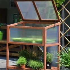 Royal Well Broeikas Red Leaf 21 Royal Well Broeikas Red Leaf -Exporteren Tuin Genoegen Winkel 8718226339133 8 Aangepast