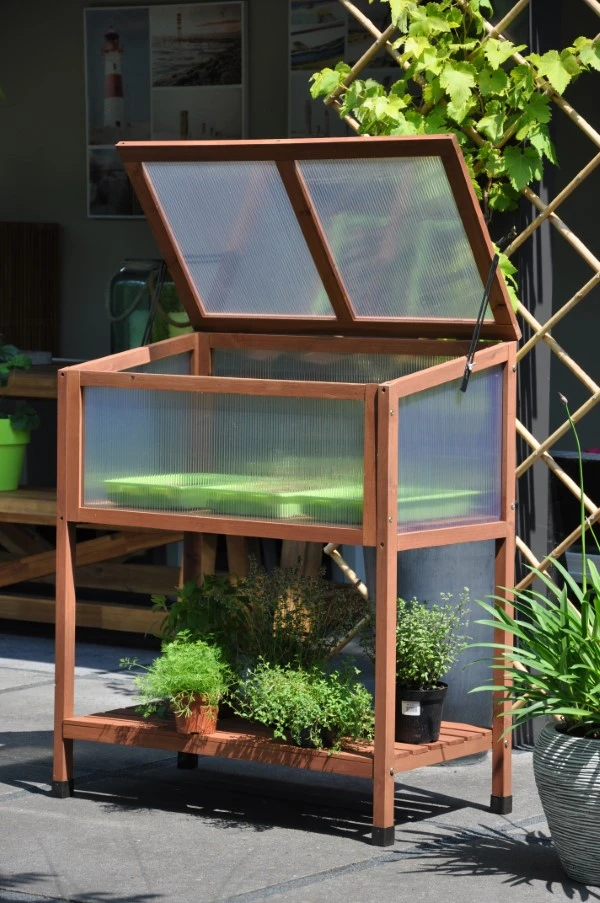 Royal Well Broeikas Red Leaf 9 Royal Well Broeikas Red Leaf - Afbeelding 7