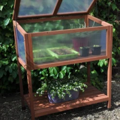 Royal Well Broeikas Red Leaf 22 Royal Well Broeikas Red Leaf -Exporteren Tuin Genoegen Winkel 8718226339133 9 Aangepast