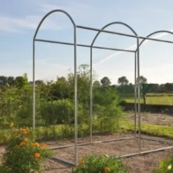 Royal Well Foliekas Maxi Tomato Galva -Exporteren Tuin Genoegen Winkel 8718226339188 11 Aangepast