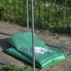 Royal Well Foliekas Maxi Tomato Galva -Exporteren Tuin Genoegen Winkel 8718226339188 12 Aangepast