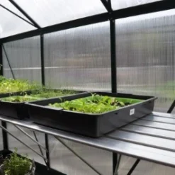 Royal Well Kweektafel Alu Grower 150 X 62,5 Cm -Exporteren Tuin Genoegen Winkel 8718226339232 5 Aangepast