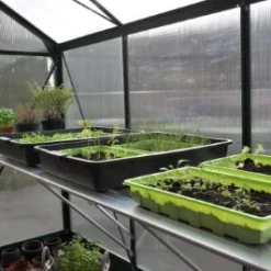 Royal Well Kweektafel Alu Grower 200 X 62,5 Cm -Exporteren Tuin Genoegen Winkel 8718226339249 10 Aangepast