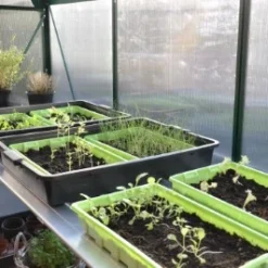 Royal Well Kweektafel Alu Grower 200 X 62,5 Cm -Exporteren Tuin Genoegen Winkel 8718226339249 4 Aangepast