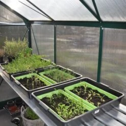 Royal Well Kweektafel Alu Grower 250 X 62,5 Cm