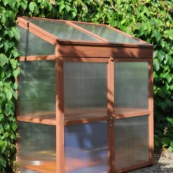 Royal Well Patiokas Sweet Basil -Exporteren Tuin Genoegen Winkel 8719214380120 10 Aangepast