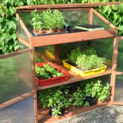 Royal Well Patiokas Sweet Basil -Exporteren Tuin Genoegen Winkel 8719214380120 11 Aangepast