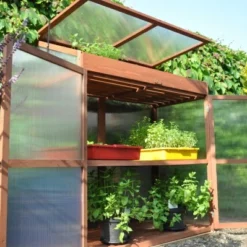 Royal Well Patiokas Sweet Basil -Exporteren Tuin Genoegen Winkel 8719214380120 3 Aangepast