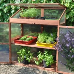 Royal Well Patiokas Sweet Basil -Exporteren Tuin Genoegen Winkel 8719214380120 4 Aangepast