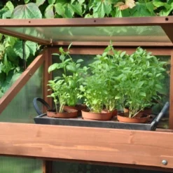 Royal Well Patiokas Sweet Basil -Exporteren Tuin Genoegen Winkel 8719214380120 5 Aangepast