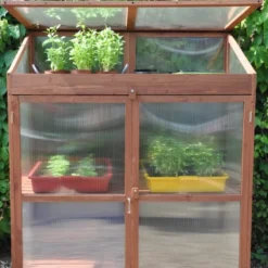 Royal Well Patiokas Sweet Basil -Exporteren Tuin Genoegen Winkel 8719214380120 6 Aangepast