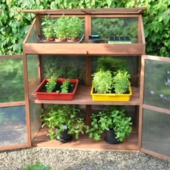 Royal Well Patiokas Sweet Basil -Exporteren Tuin Genoegen Winkel 8719214380120 7 Aangepast