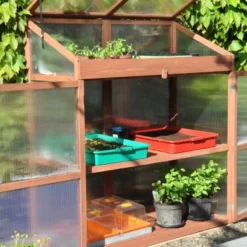 Royal Well Patiokas Sweet Basil -Exporteren Tuin Genoegen Winkel 8719214380120 9 Aangepast