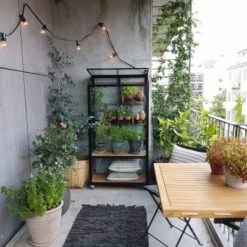 Royal Well Patiokas City Garden Veiligheidsglas 4mm Zwart -Exporteren Tuin Genoegen Winkel 8719214381493 5 Aangepast