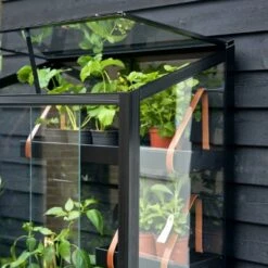 Royal Well Patiokas City Garden Veiligheidsglas 4mm Zwart -Exporteren Tuin Genoegen Winkel 8719214381493 6 Aangepast