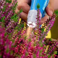 Gloria AutoPump Mini - 1 Liter Fijnsproeier NBR + LED Verlichting -Exporteren Tuin Genoegen Winkel csm AutoPump Mini Detail 1 5f2afd1455