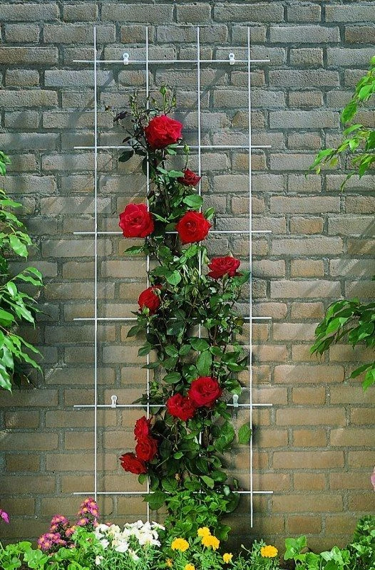 Nature Klimplantrek Metaal Groen 145 X 42.5 Cm 4 Nature Klimplantrek Metaal Groen 145 X 42.5 Cm - Afbeelding 2