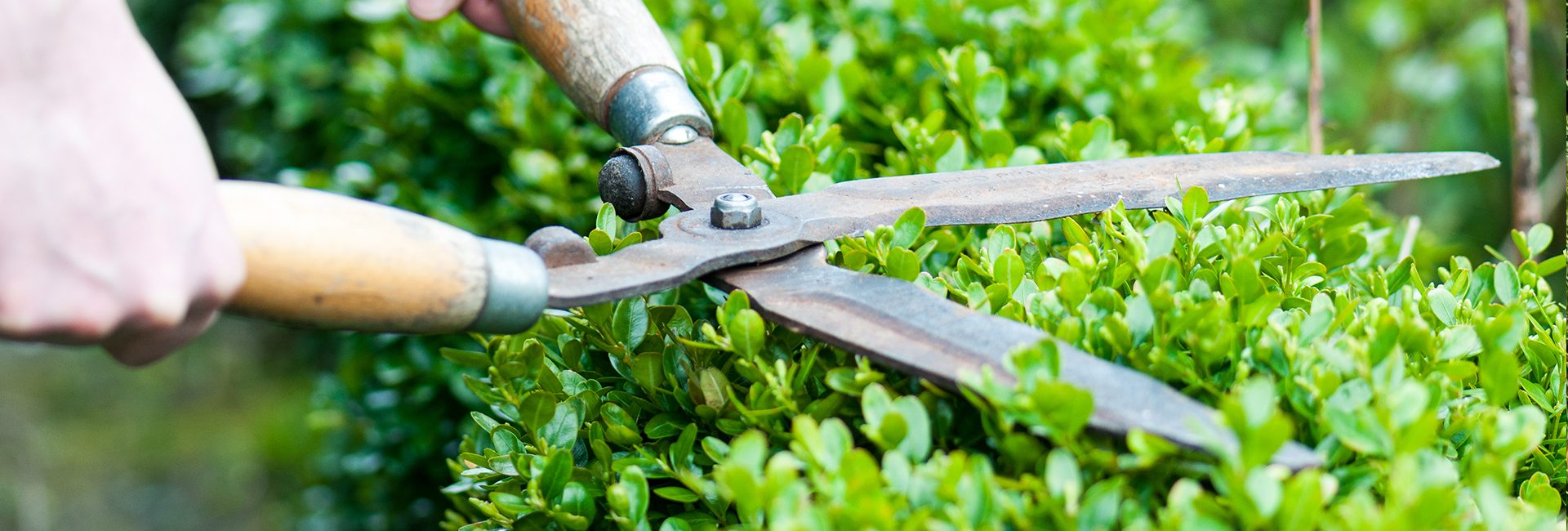 Exporteren Tuin Genoegen Winkel -Exporteren Tuin Genoegen Winkel gartenwerkzeug 1920x650 1