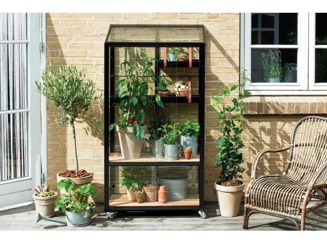 Exporteren Tuin Genoegen Winkel -Exporteren Tuin Genoegen Winkel zz